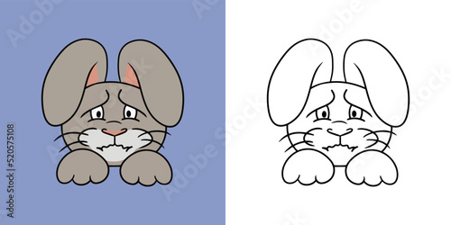 Horizontal picture, Offended, sad rabbit, animal emotions, dissatisfied hare, vector illustration in cartoon style