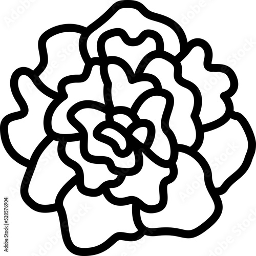 carnation outline icon