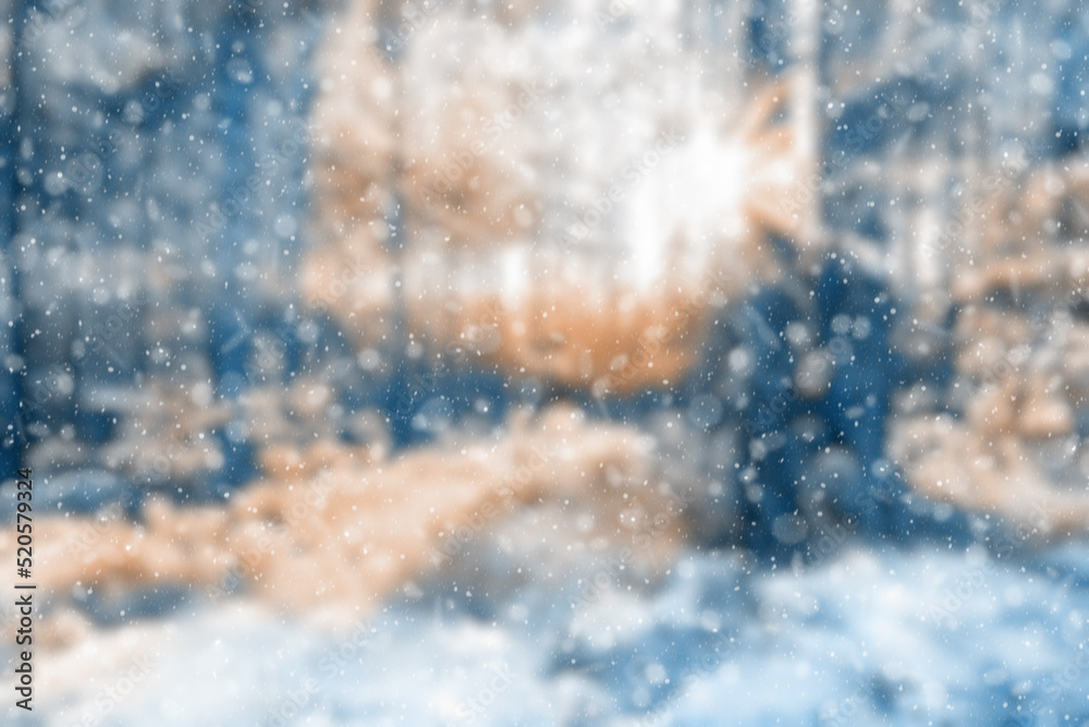 blurred winter forest blurred winter forest