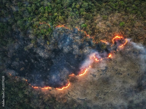 Aerial view of forest fire