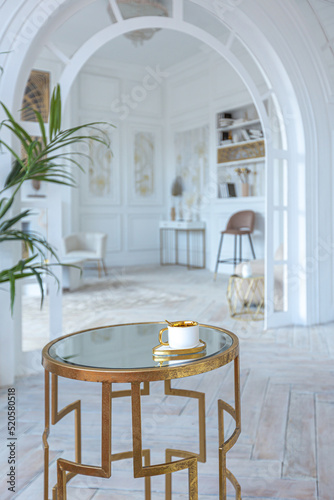 snow-white luxury apartment interior with Egyptian-style decor with light stylish furniture. huge panoramic windows and an archway. minimalism and simplicity with the elegance of modern housing design