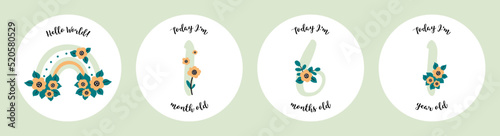 Baby shower print with cute flowers capturing all the special moments. Baby milestone number cards. Vector illustrations