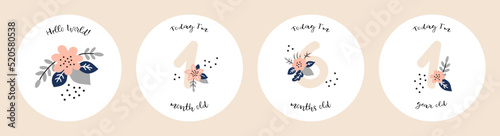 Baby shower print with cute flowers capturing all the special moments. Baby milestone number cards. Vector illustrations