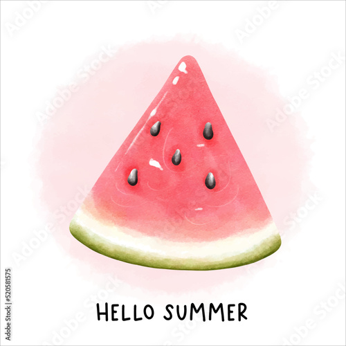 watercolor watermelon, fruit vector illustration