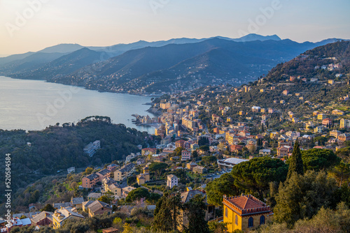 Aerial view of Camogli, Genoa province, at sunset, Italy