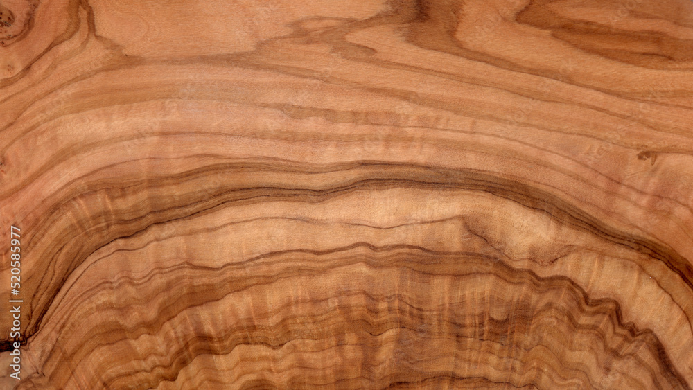 red olive tree wood texture