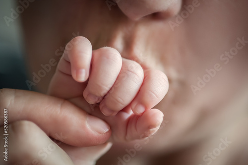 Close-up detail macro view of mother kissing baby little hand. Soft child skin. Love and family emotion