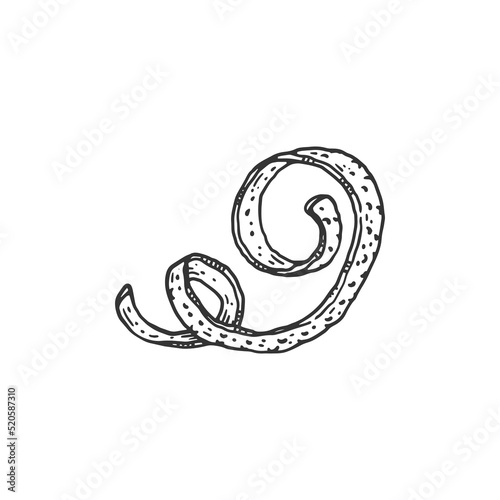 Orange spiral zest or peel monochrome engraving vector illustration isolated.
