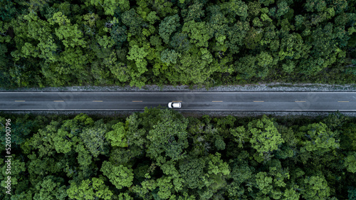 Aerial view green forest and asphalt road, Top view forest road going through forest with car adventure, Ecosystem ecology healthy environment road trip travel.