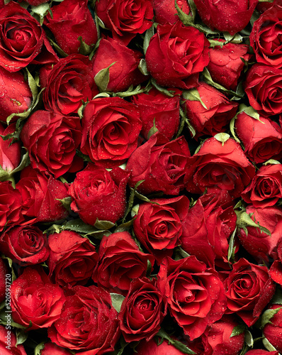 Bunch of red roses flowers head
