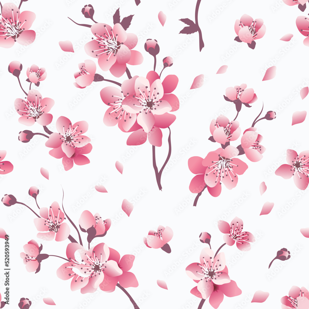Pink cherry blossom seamless pattern. Floral elegance  spring background. Vector illustration.