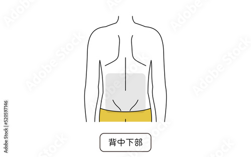 メンズ脱毛の脱毛箇所、背中下部