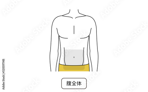 メンズ脱毛の脱毛箇所、腹全体