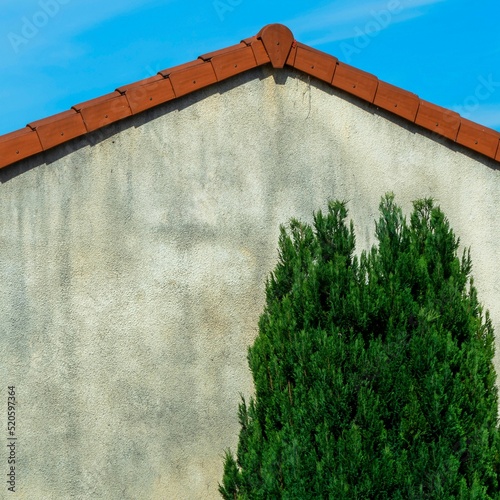 Juniperus chinensis plant against a background of a concrete house with roof photo