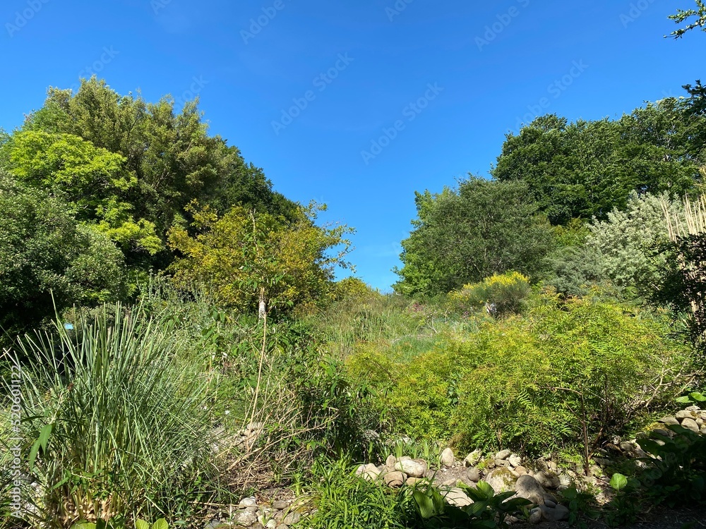 The Botanical Garden of the University of Zurich or Botanischer Garten der Universität Zürich (Botanischer Garten der Universitat Zurich - Botanischer Garten der Universitaet Zuerich), Switzerland