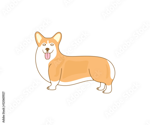 Welsh corgi  pembroke welsh corgi and cardigan welsh corgi  dog  logo design. Animal  pet  pet shop and veterinary clinic  vector design and illustration