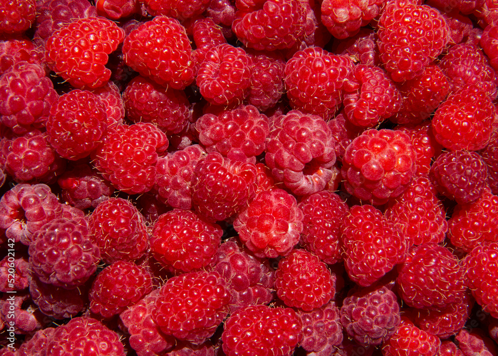Raspberry. Juicy red raspberries. Background. Raspberry. Juicy red raspberries. Background.
