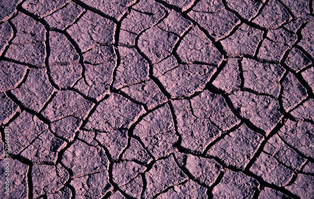 Mudcracks. This photo is from a dry wash several miles southwest of Green River, Utah, USA, where the sediment eroded from the Entrada sandstone (Jurassic) has collected. Mudcracks. This photo is from a dry wash several miles southwest of Green River, Utah, USA, where the sediment eroded from the Entrada sandstone (Jurassic) has collected.