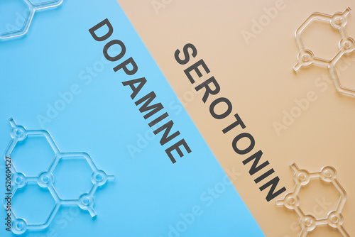 Hormones dopamine and serotonin and chemical models. photo