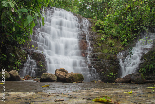 Green vegetation in the rainy season in Costa Rica.