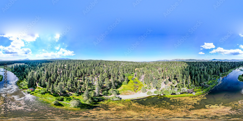 A Panorama of a Mountain Forest from a UAV Drone