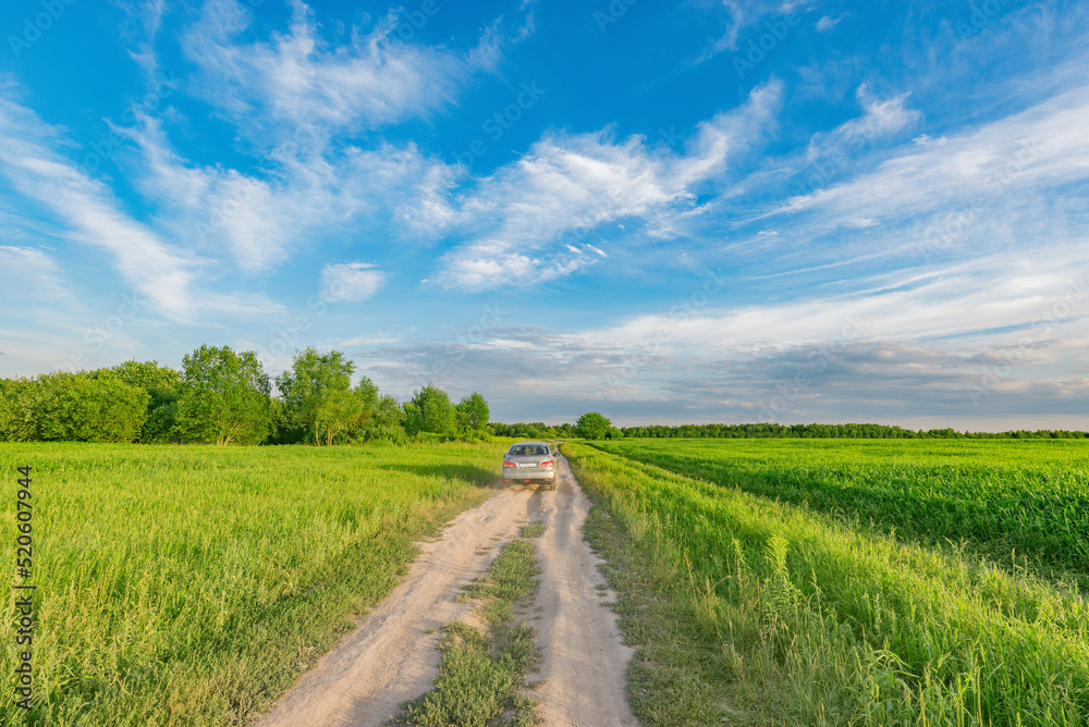 Dry road in the field at sunset.