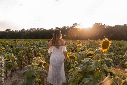 Sunflowers