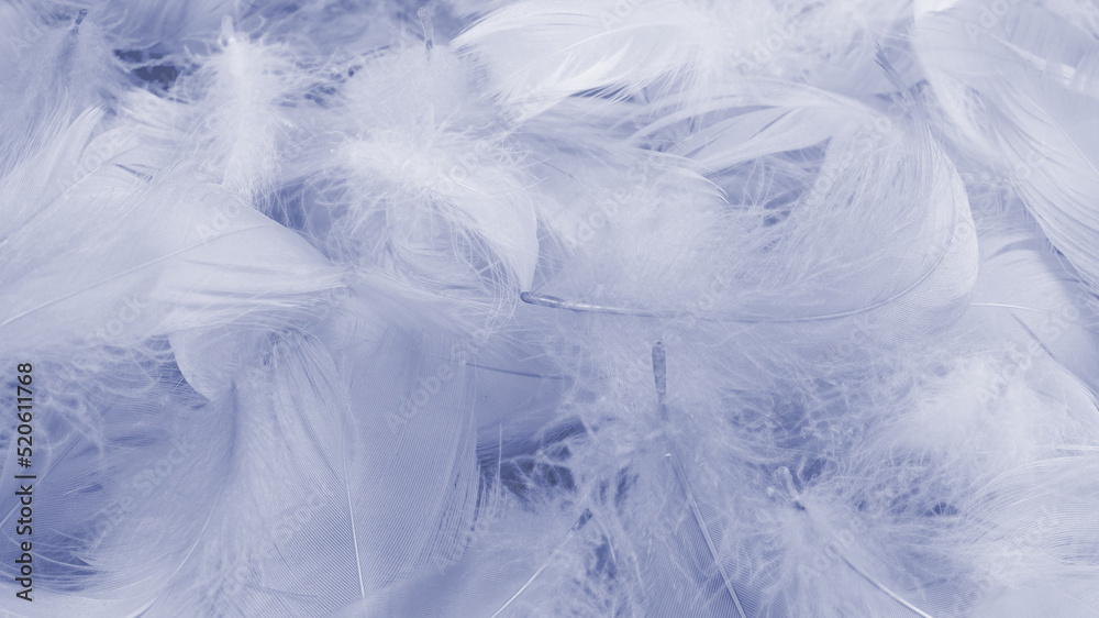 Colorful feather background, top view. Colorful feather background, top view.