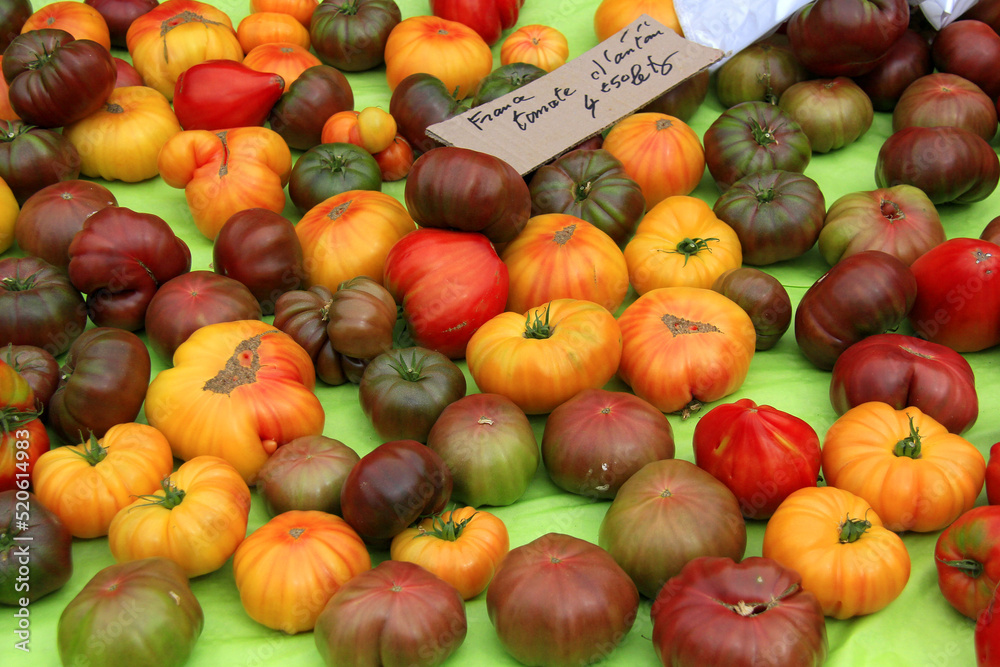 tomates anciennes