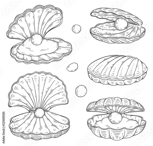Seashell with pearl inside, hand drawn sketch vector illustration isolated on white background.