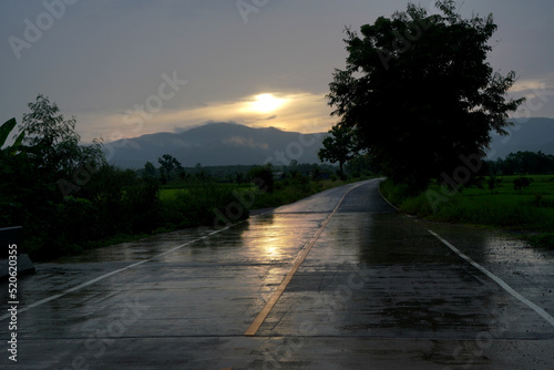 rural road landscape Empty in the morning after the rain