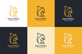 Squirrel logo vector icon design