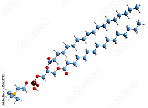 Fototapeta Naklejka Na Ścianę i Meble -  3D image of Palmitoyl-oleoyl-sn-phosphatidylcholine skeletal formula - molecular chemical structure of phosphatidylcholine isolated on white background
