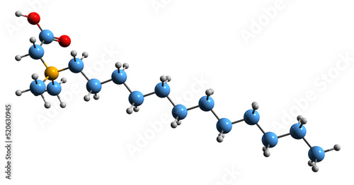 Fototapeta Naklejka Na Ścianę i Meble -  3D image of lauryl betaine skeletal formula - molecular chemical structure of surfactant isolated on white background
