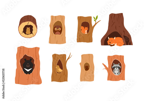 Cute animals sitting inside of tree hollow, nest or burrow - flat vector illustration isolated on white background.