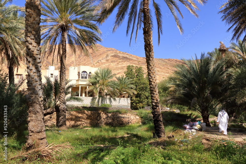 Abandoned Village Birkat-Al-Mouz - Oman. Birkat-Al-Mouz is a deserted old town that has been left to crumble