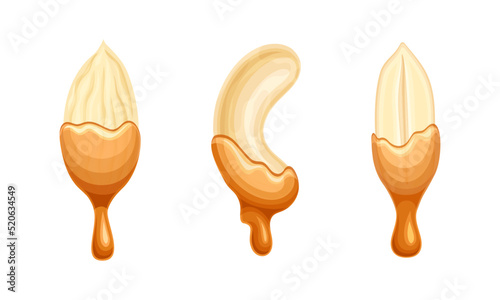 Nuts as Edible Seed with Dripping Chocolate or Caramel Melting Liquid Vector Set