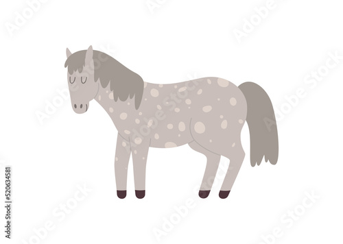 Spotted gray pony horse cartoon character, flat vector illustration isolated.