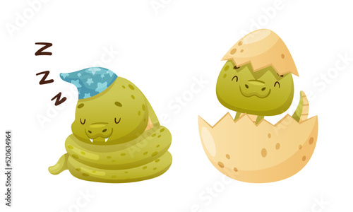 Cute Green Baby Snake as Crawling Creature Hatching from Egg Shell and Sleeping Coiled in Night Cap Vector Set