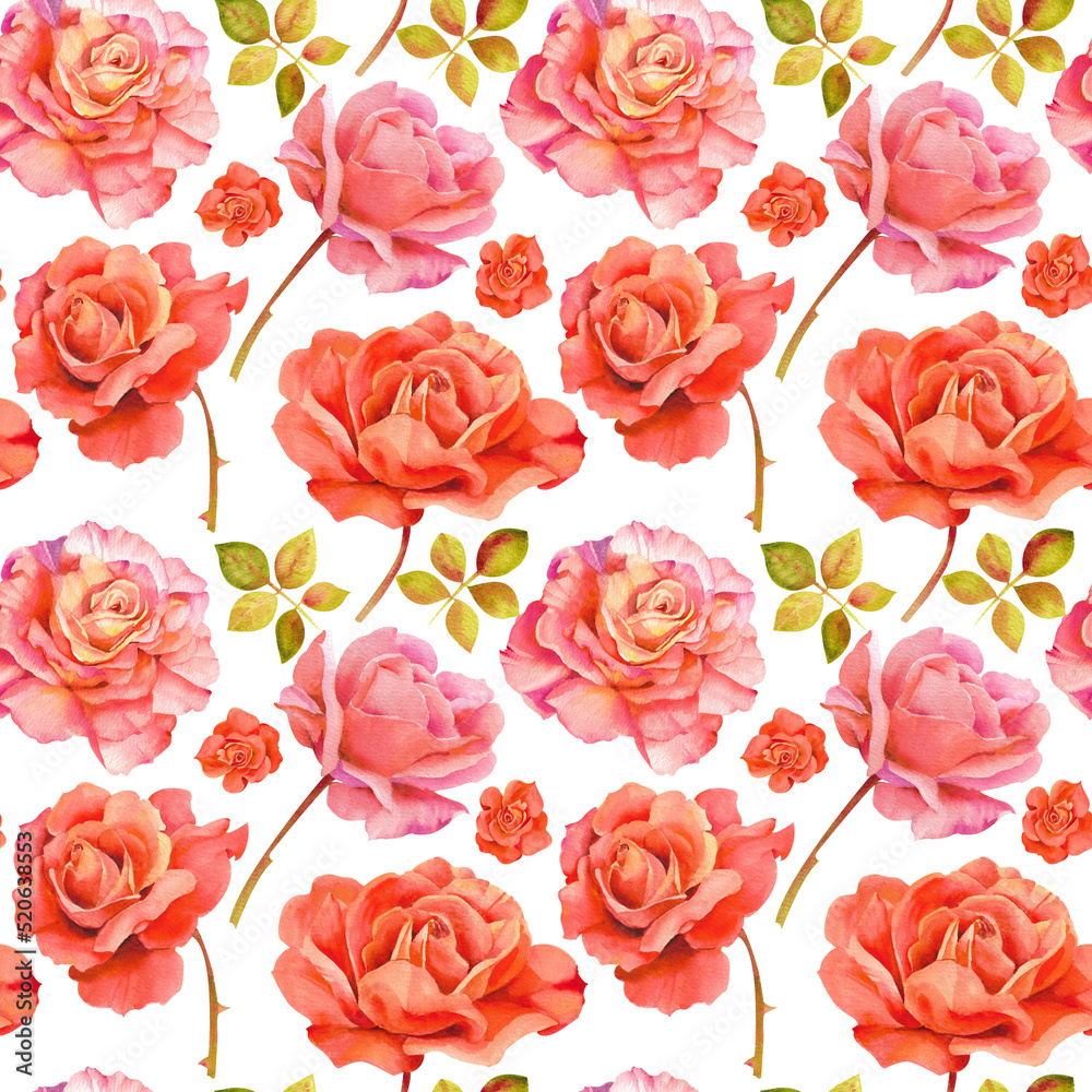Watercolor pattern of roses. Pattern background of red and pink roses with leaves and stems on a white background