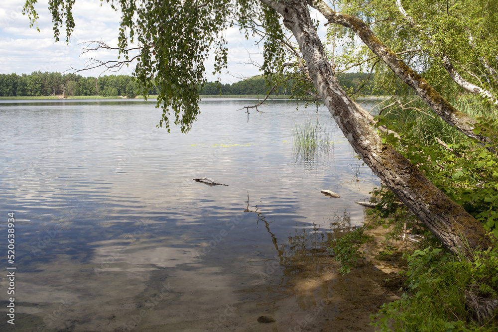 Dzikie plaże nad lubuskimi jeziorami Dzikie plaże nad lubuskimi jeziorami