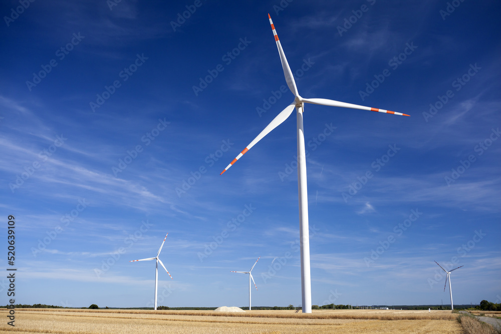 Pole z nowoczesnymi turbinami wiatrowymi sposobem na niezależność energetyczną i czysty prąd Pole z nowoczesnymi turbinami wiatrowymi sposobem na niezależność energetyczną i czysty prąd