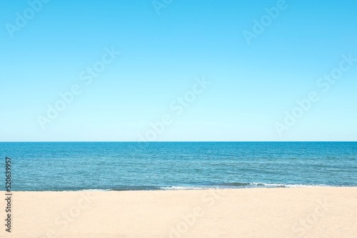 Picturesque view of sandy beach with seagulls near sea