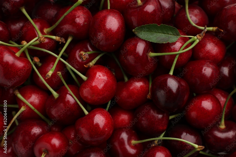 Ripe sweet cherries as background, top view Ripe sweet cherries as background, top view