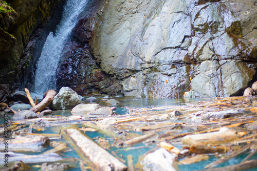 waterfall in the forest