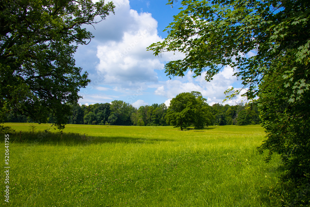 Obraz premium Park_8661