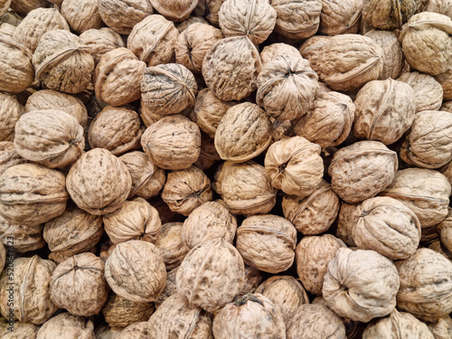 Close-up photograph of walnuts after being harvested photo
