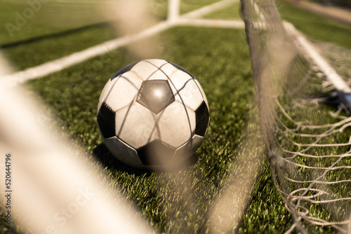 close-up view of leather soccer ball on green grass. © Angelov