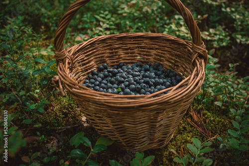 basket with blueberries