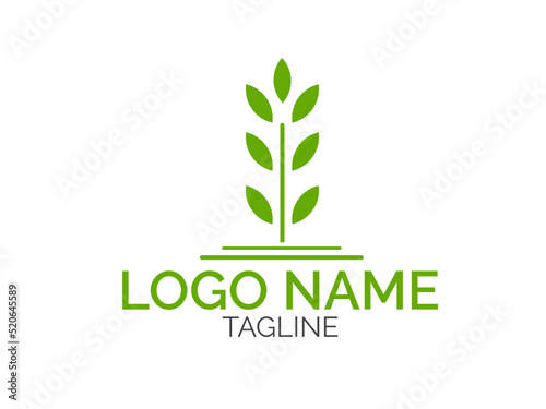 Green leaf logo. Natural logo design. Tree logo design. Abstract leaf vector